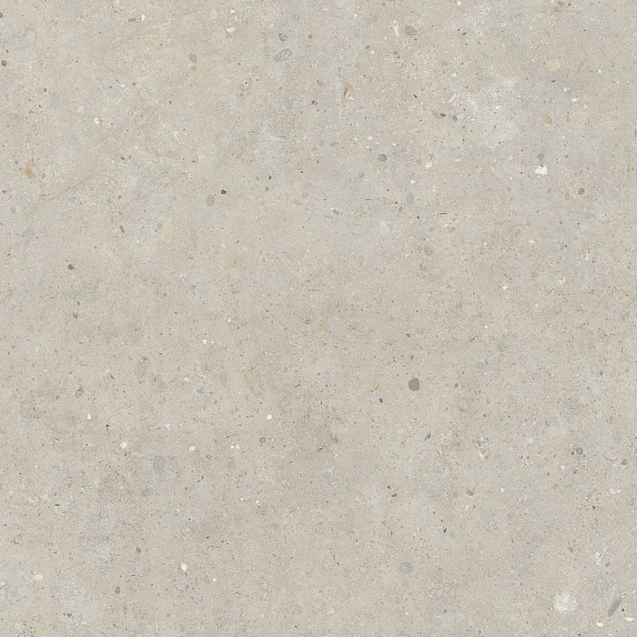 Pastorelli Ceramiche, Biophilic - P009498J - Bi Greige, Naturale, 60x60cm, 8.50mm, Rett.