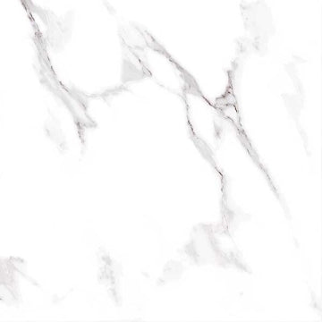 Ecoceramic, Albufera - TB0460---Albufera,-Brillo,-60.8x60.8cm,-8.50mm