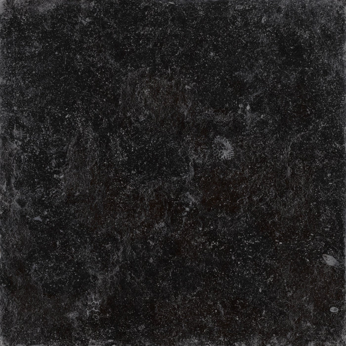 Cerdomus, Nordenn - 77343 - Nero, Satinato, 60x60cm, 9.50mm, Rett.