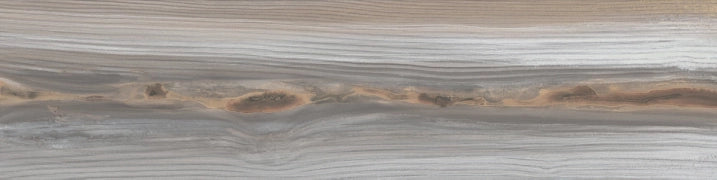 Apavisa, Echo - Ash, Naturale, 25x100cm, 10.00mm, Rett.