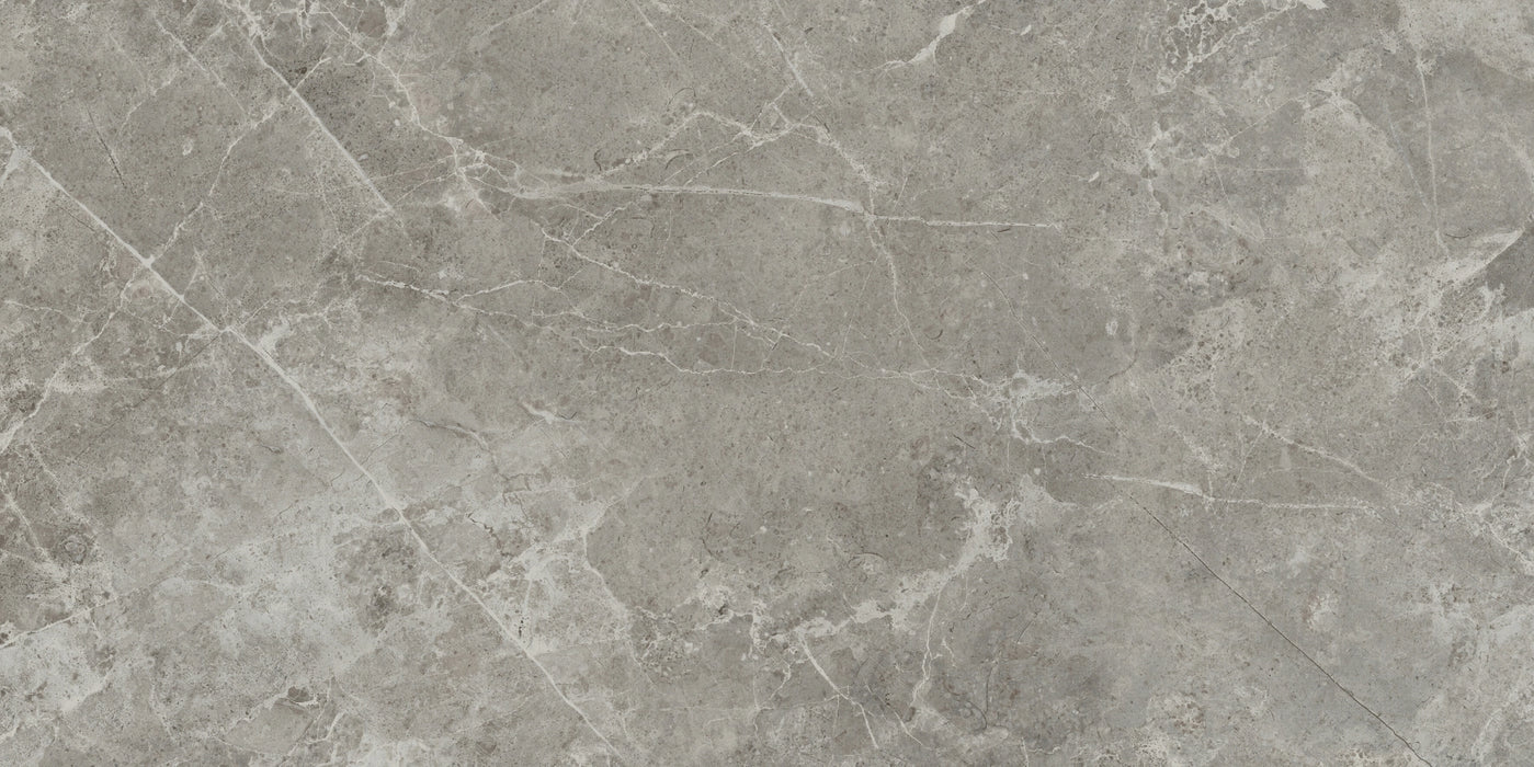 Panaria Ceramica, Trilogy - PG-TY63 - Sandy Grey, Lux, 30x60cm, 9.50mm, Rett.