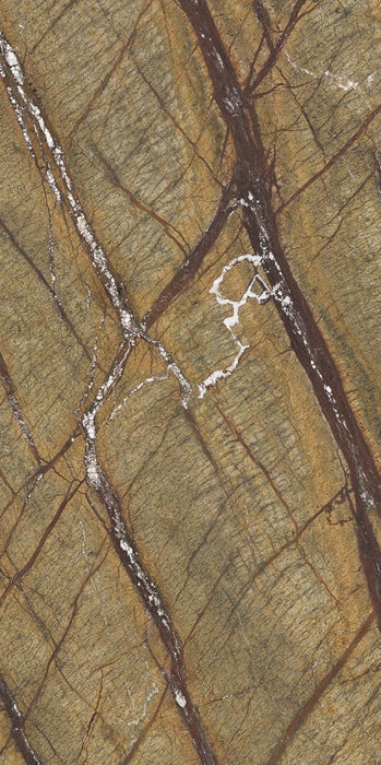 Casalgrande Padana, Marmoker - Brown Forest, Lucida, 120x240cm, 6.50mm, Rett.