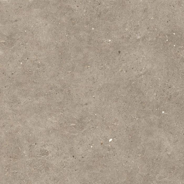 Italgraniti, Silver Grain + Ceppo Di Gré - SI04682 - Silver Grain Taupe, Antislip, 60x60cm, 20.00mm, Rett.