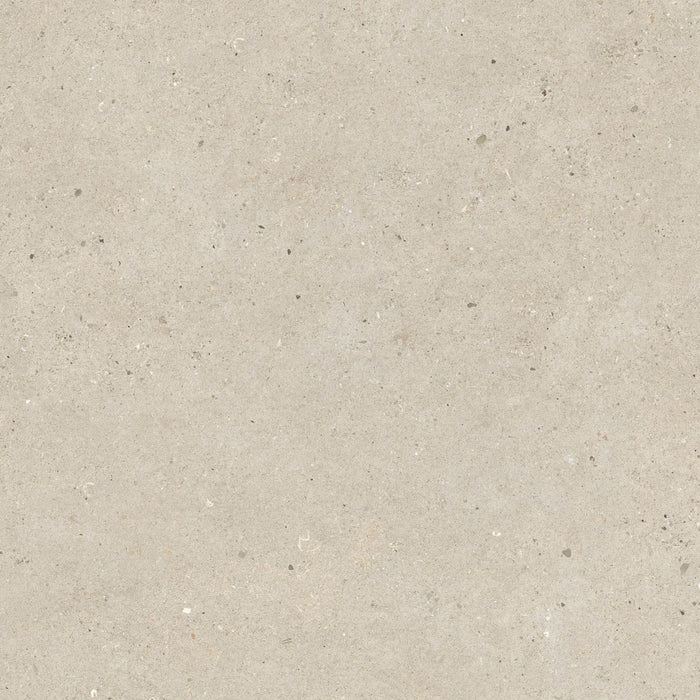 Italgraniti, Silver Grain + Ceppo Di Gré - SI0268 - Silver Grain Beige, Naturale, 60x60cm, 9.00mm, Rett.