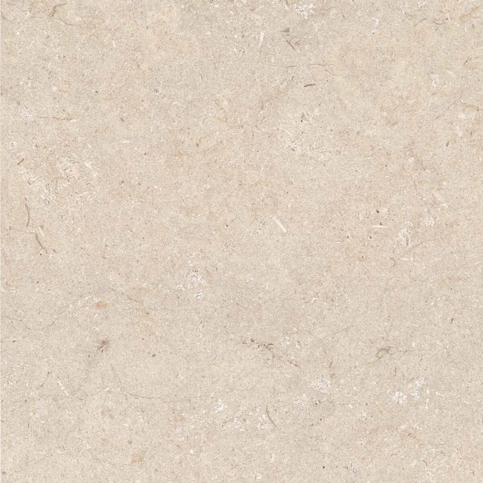 ABK, Poetry Stone - PF60012896 - Trani Beige, R11, 120x120cm, 20.00mm, Rett.