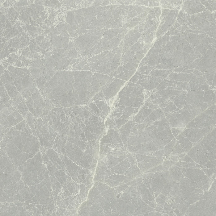 Florim, Exalt - 760074---Silver-Light,-Naturale,-60x60cm,-9.00mm,-Rett.