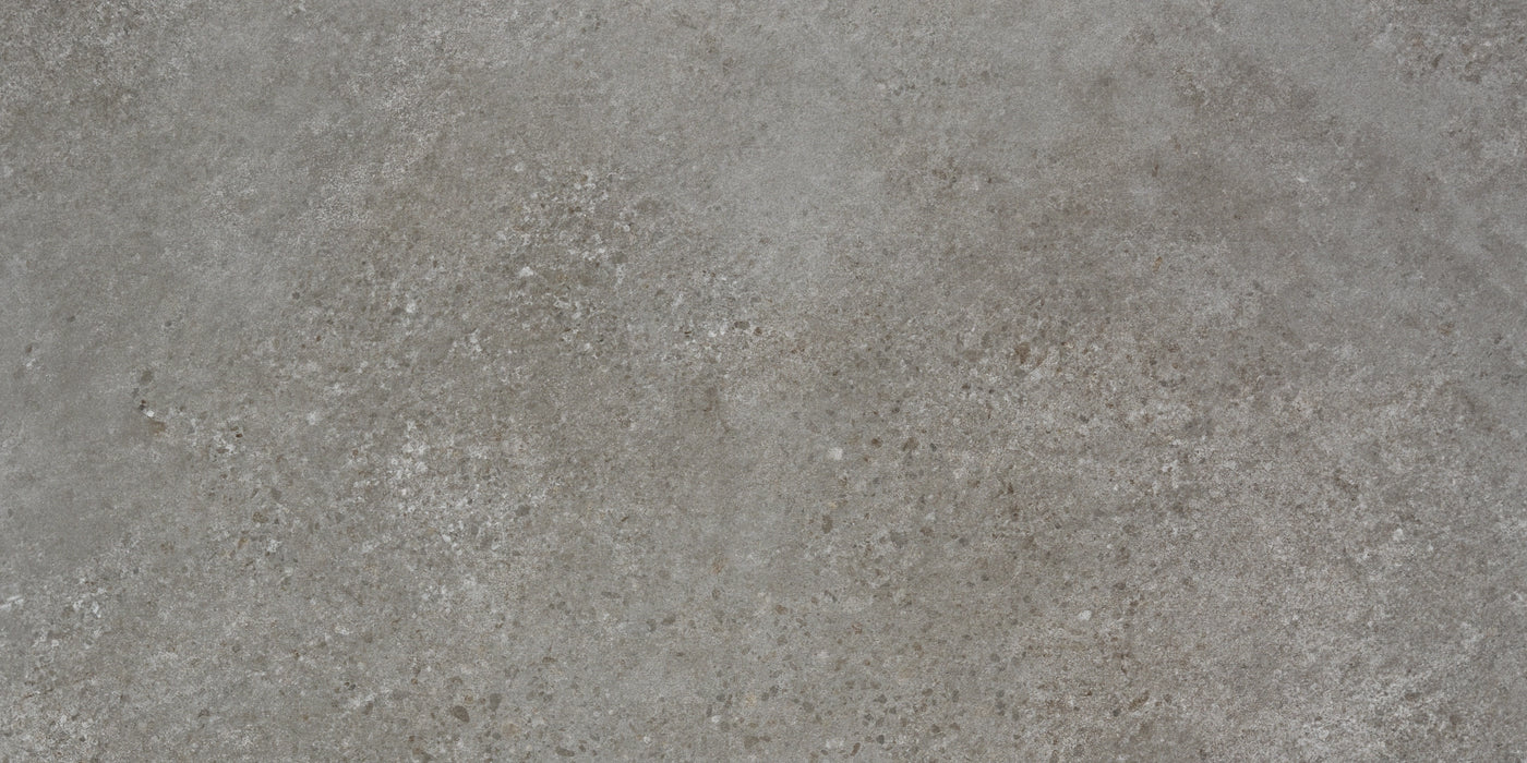 Alaplana Ceramica, Rodas - PP2401 - Gris, Naturale, 60x120cm, 10.00mm, Rett.