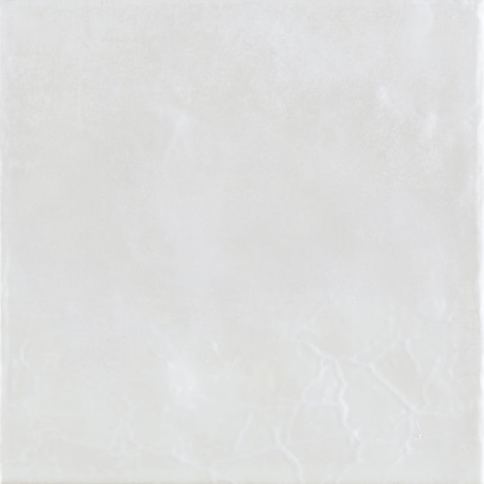 Argenta Ceramica, Aqua-Ocean - Aqua White, Gloss, 15x15cm, 9.00mm, Not rectified