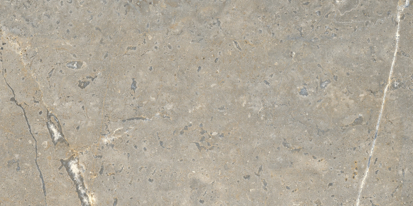 Lea Ceramiche, Anthology - LGXAL55 - Earth, Worn, 60x120cm, 9.50mm, Rett.