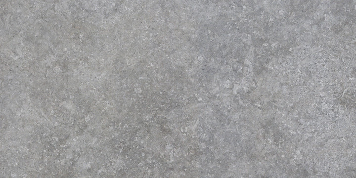 Ceramiche Settecento, Shellstone - 138015 - Grey, Matt, 40x80cm, 10.00mm