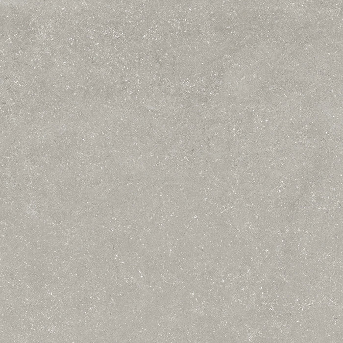 PorcelaniteDos, Amberes - 1824 - Silver, High Traffic, 100x100cm, 10.00mm, Rett.