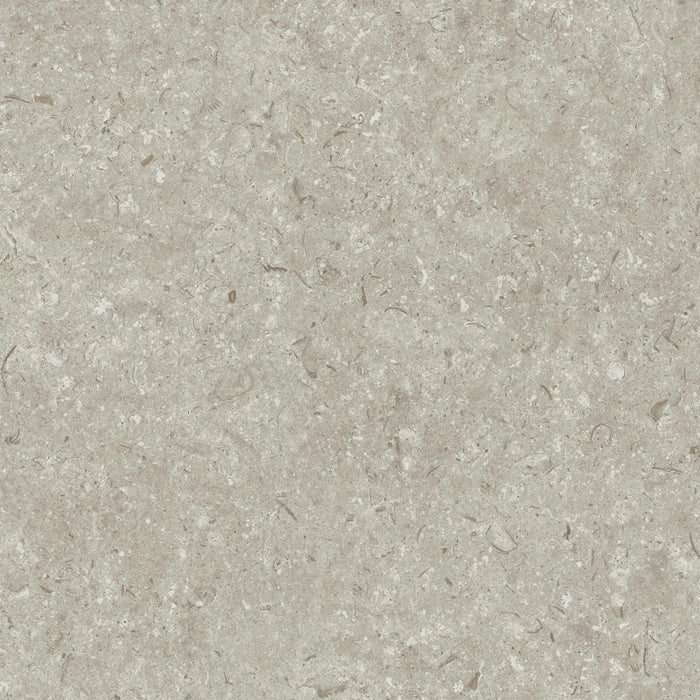 Grespania, Fosil - 82F265R - Gris, Matt, 60x60cm, 10.00mm, Rett.