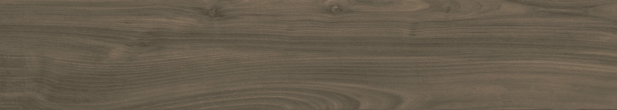 Ceramiche Castelvetro, More - CMR26R6 - Oliva, Naturale, 26x160cm, 10.00mm, Rett.