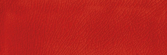 Cerasarda, Pitrizza - Rosso Vivo, Naturale, 10x30cm, 10.00mm