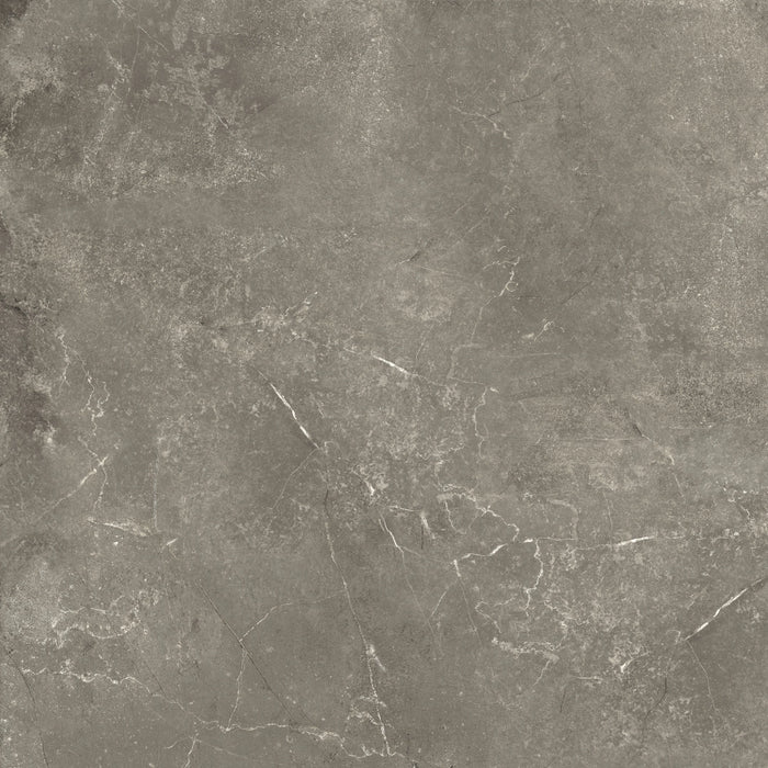 Elios Ceramica, Harmony - 0946060 - Taupe, Naturale, 60x60cm, 10.00mm, Rett.