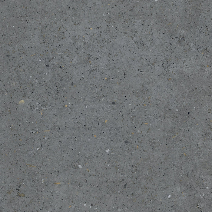 Pastorelli Ceramiche, Biophilic - P009456 - Bi Dark Grey, Naturale, 60x60cm, 20.00mm