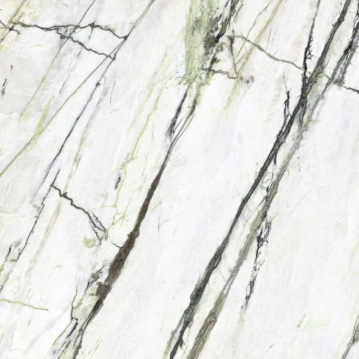 Ceramica Magica, Microcosmi - Calacatta Green, Polished, 60x60cm, 9.00mm, Rett.