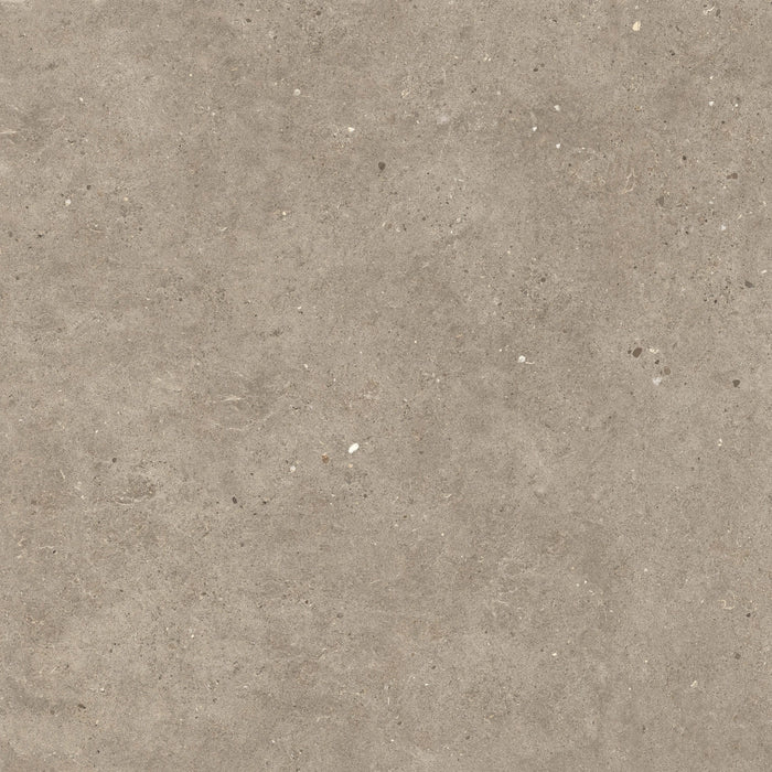 Italgraniti, Silver Grain + Ceppo Di Gré - SI04882 - Silver Grain Taupe, Antislip, 80x80cm, 20.00mm, Rett.