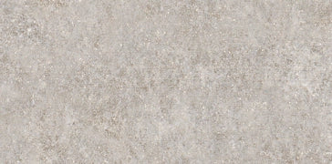 Evoluzioni Ceramiche, Aspen - EE0170 - Grigio, Naturale, 15.3x31cm, 8.50mm, Rett.