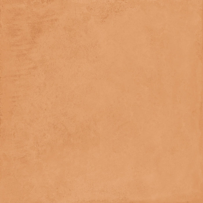 Ceramica Sant'agostino, Vita - CSACTT6060  - Cotto, Naturale, 60x60cm, 9.00mm, Rett.