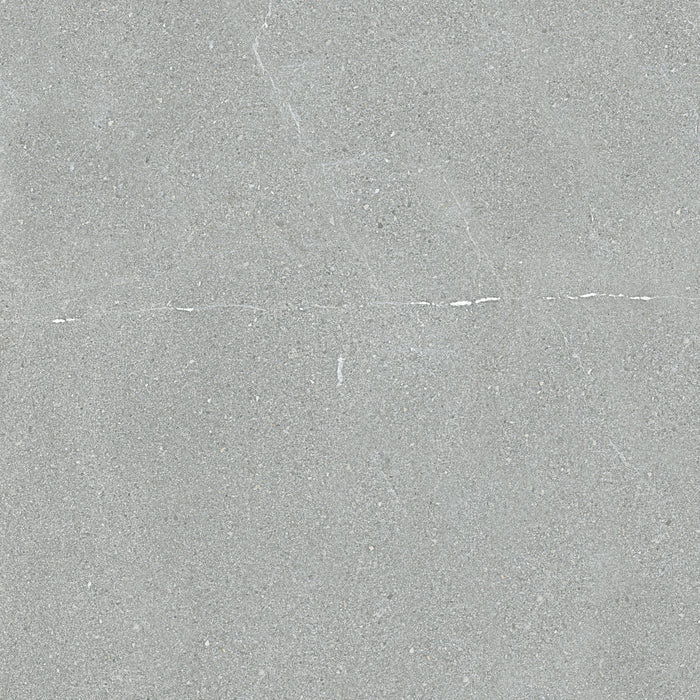 PorcelaniteDos, Cleveland - 1835 - Grey, Honed, 98x98cm, 10.00mm, Rett.