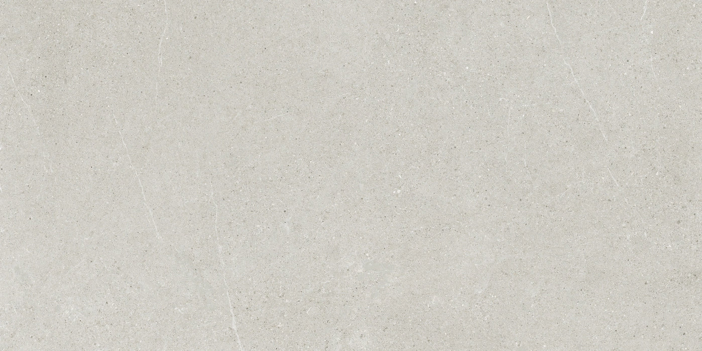 Ceramiche Ricchetti, Ease/22 - 0162949 - Light Grey, Natural, 80x180cm, 9.00mm, Rett.