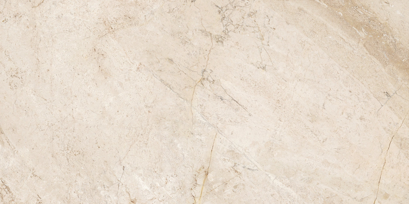 Ceramiche Ricchetti, Neolitica - Breccia Aurora, Natural, 60x120cm, 9.00mm, Rett.