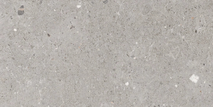 Provenza Ceramiche, Ego - EGP6 - Grigio, Naturale, 30x60cm, 9.50mm, Rett.