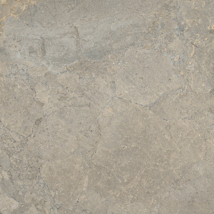 Lea Ceramiche, Anthology - LGWAL30 - Earth, Worn, 60x60cm, 9.50mm, Rett.