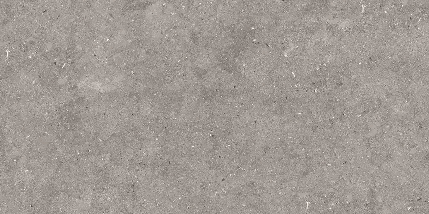 Apavisa, Metodo - Grey, Naturale, 50x100cm, 10.00mm, Rett.