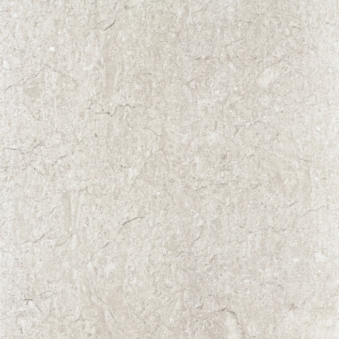 Alaplana Ceramica, Maryland - PP0703 - Gris, Naturale, 60x60cm, 10.00mm