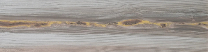 Apavisa, Echo - Gold, Naturale, 25x100cm, 10.00mm, Rett.