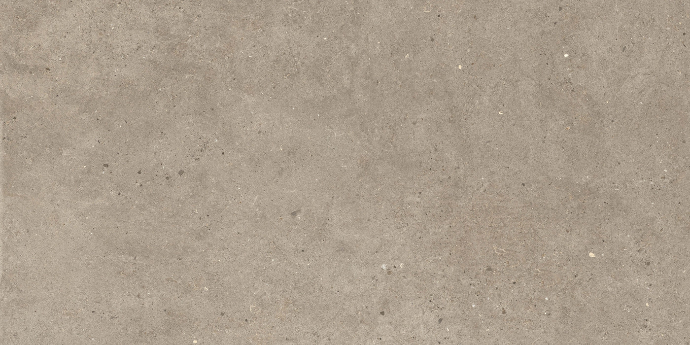 Italgraniti, Silver Grain + Ceppo Di Gré - SI04BA2 - Silver Grain Taupe, Antislip, 60x120cm, 20.00mm, Rett.