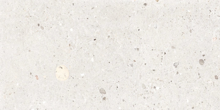 Provenza Ceramiche, Ego - EGP9 - Avorio, Tecnica, 60x120cm, 9.50mm, Rett.