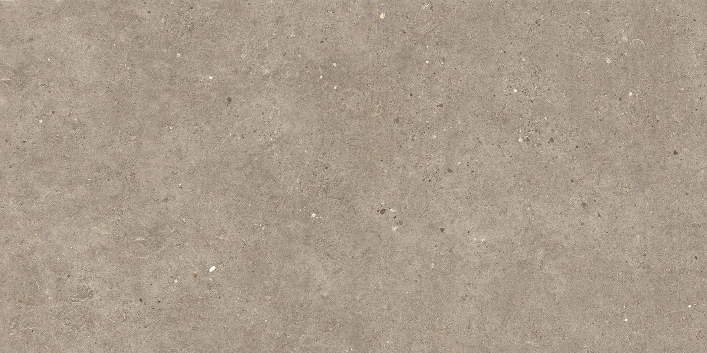 Italgraniti, Silver Grain + Ceppo Di Gré - SI04BA - Silver Grain Taupe, Naturale, 60x120cm, 9.00mm, Rett.