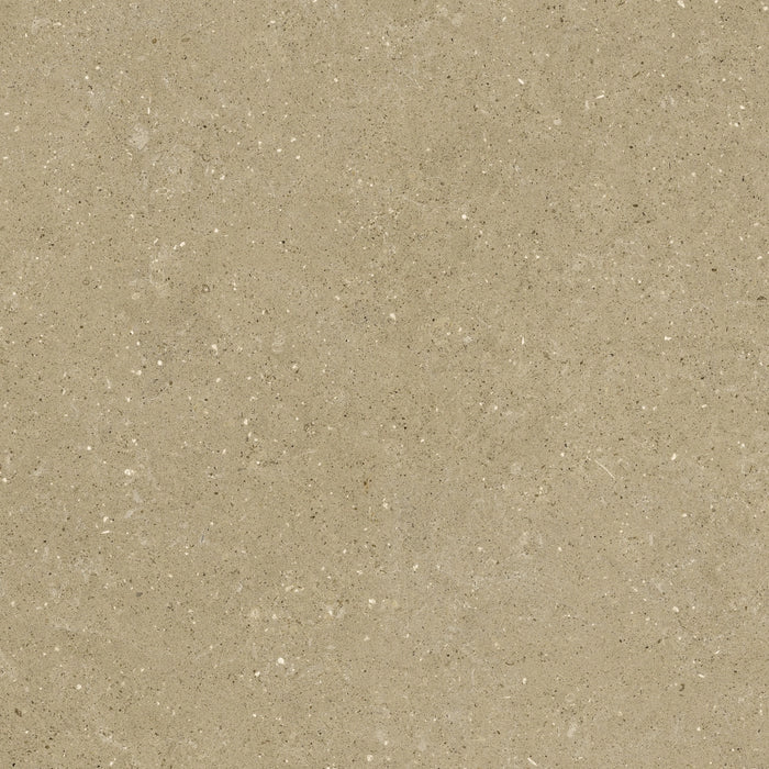 Del Conca, Wild - GTWD01R - Beige, Nat, 80x80cm, 8.50mm, Rett.