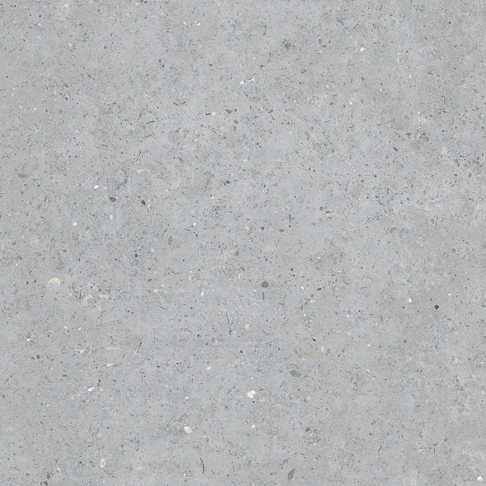 Pastorelli Ceramiche, Biophilic - P009496J - Bi Grey, Naturale, 60x60cm, 8.50mm, Rett.