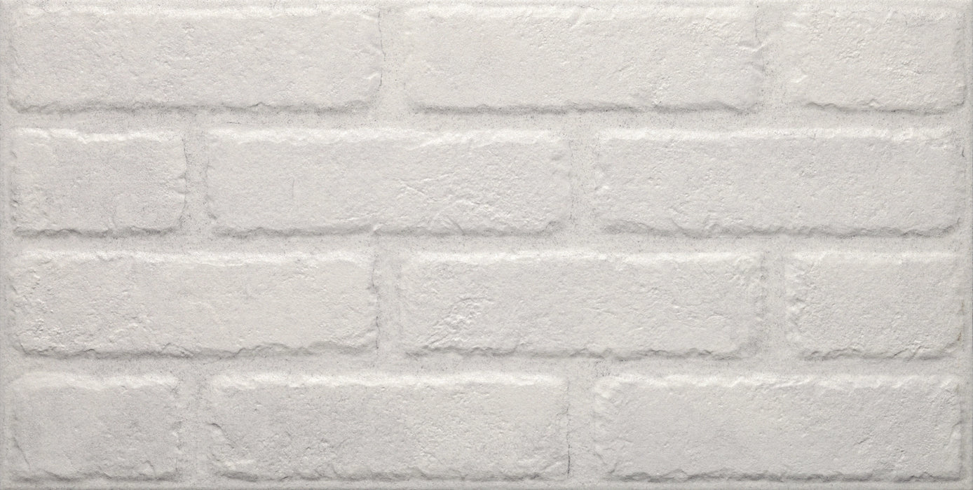 Evoluzioni Ceramiche, Mattoncino Brick - EE0152 - Bianco White, Naturale, 31x62cm, 9.00mm, Rett.