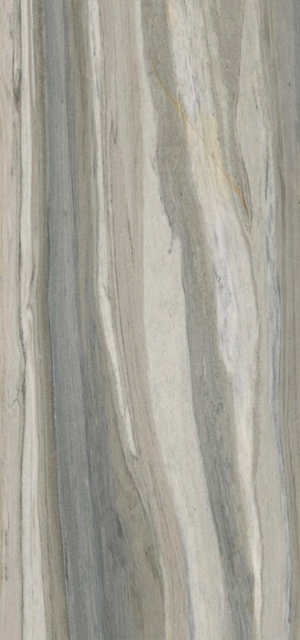 Tau Ceramica, Palisandro - Palisandro Gray, Matt, 120x260cm, 6.00mm, Rett.