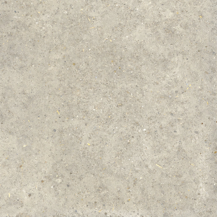 La Fabbrica Ava, Agglomerate - 160052 - Shell, Naturale, 80x80cm, 20.00mm, Rett.