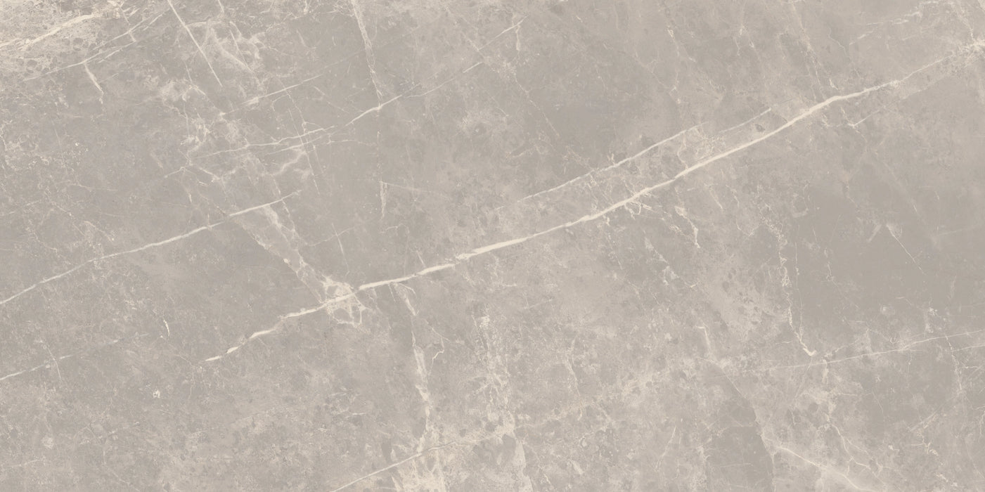 Florim, Elemental Stone - 766526---Grey-Dolomia,-Naturale,-60x120cm,-9.00mm,-Rett.