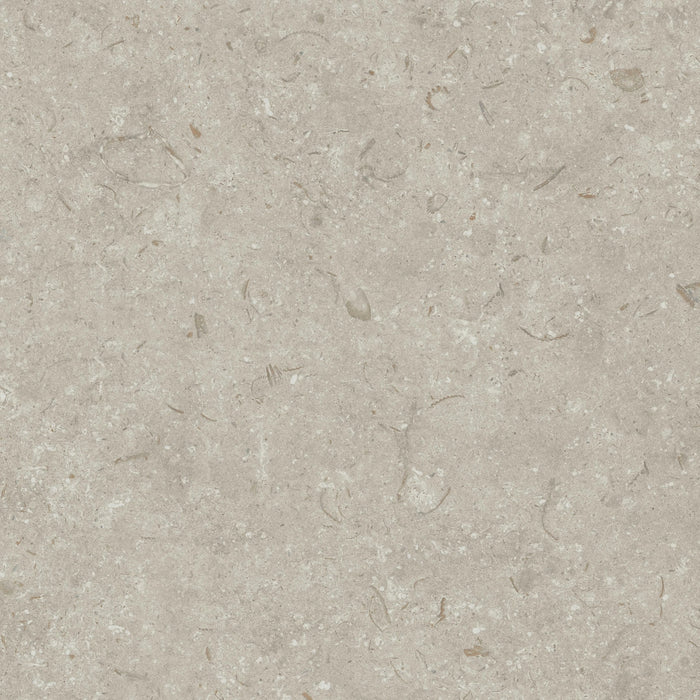 Grespania, Fosil - 81F266R - Gris, Matt, 80x80cm, 10.00mm, Rett.