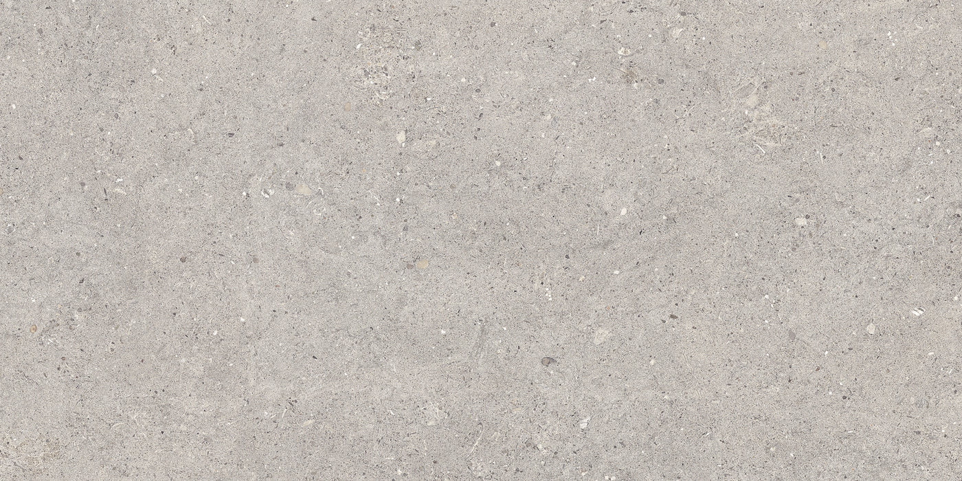 Azulev, Ageless - Gris, Mate, 60x120cm, 10.00mm, Rett.