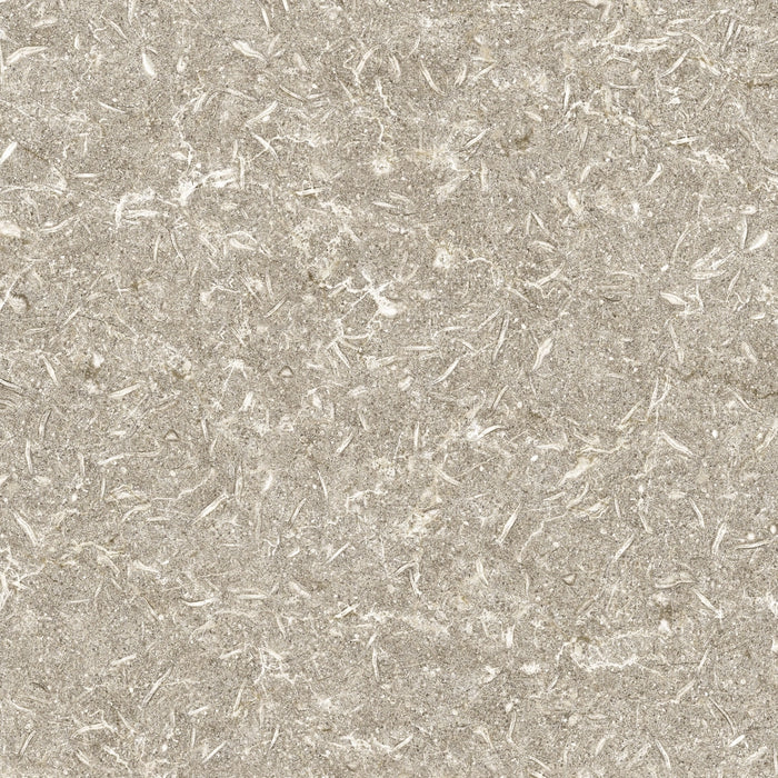 Apavisa, Track - Beige, Naturale, 59.55x59.55cm, 10.00mm, Rett.