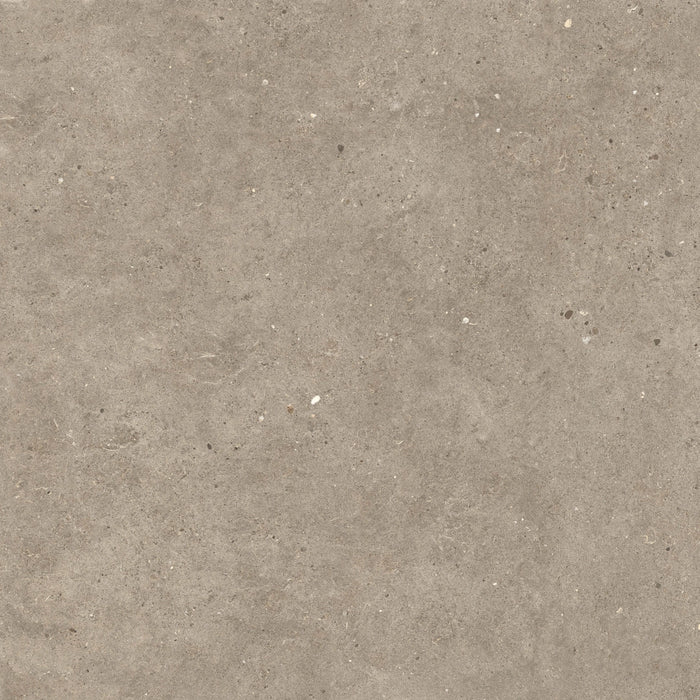 Italgraniti, Silver Grain + Ceppo Di Gré - SI0488 - Silver Grain Taupe, Naturale, 80x80cm, 9.00mm, Rett.