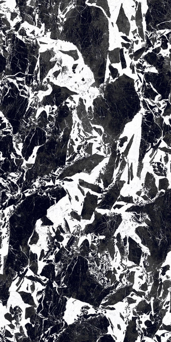 Florim, B&W_Marble - 751164---Fragment,-Naturale-,-160x320cm,-6.00mm,-Rett.