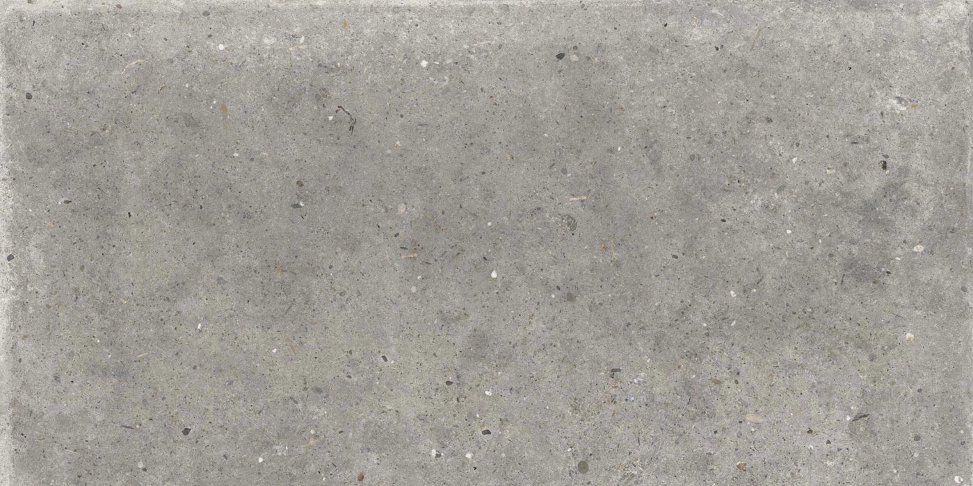 ABK, Poetry Stone - PF60010778 - Pirenei Grey, Naturale, 60x120cm, 8.50mm, Rett.